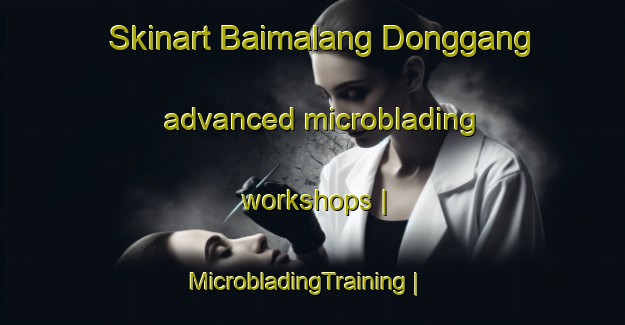 Skinart Baimalang Donggang advanced microblading workshops | MicrobladingTraining | MicrobladingClasses | SkinartTraining-China